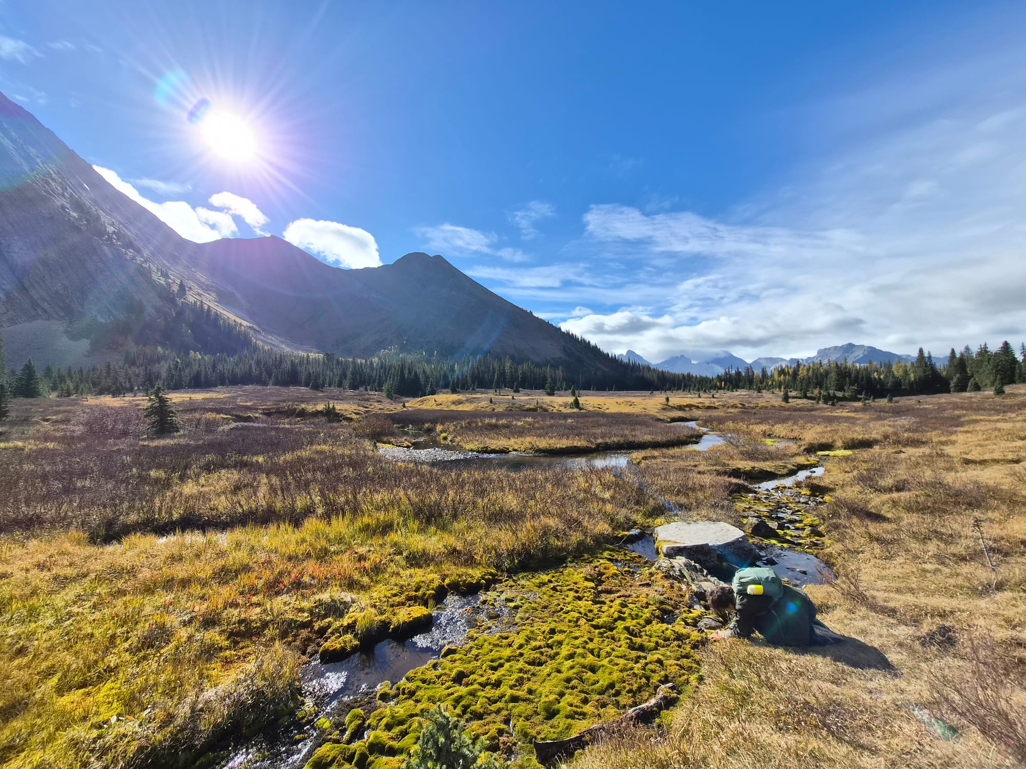 Looking for Larches at Chester Lake