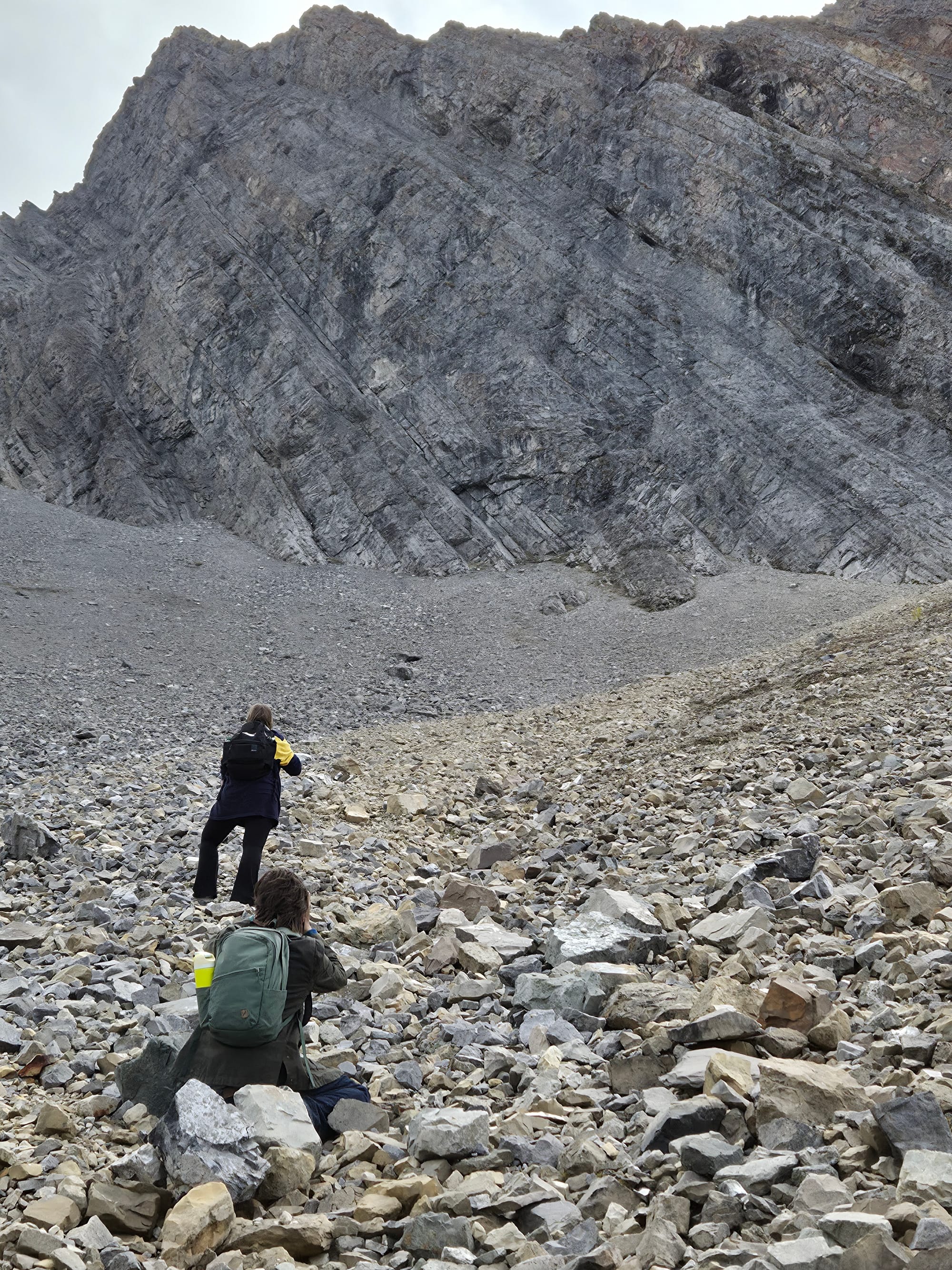 Looking for Larches at Chester Lake