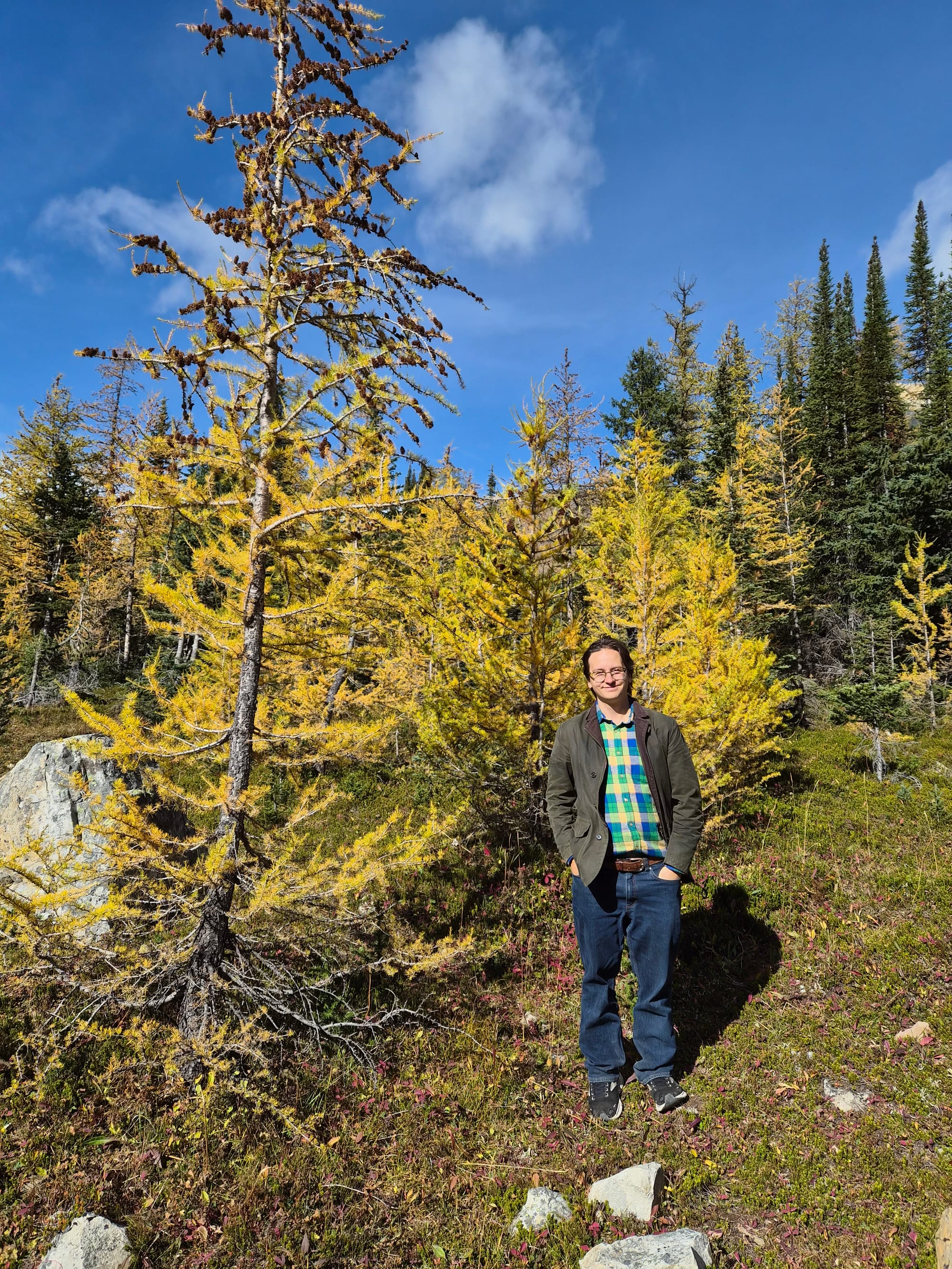 Looking for Larches at Chester Lake