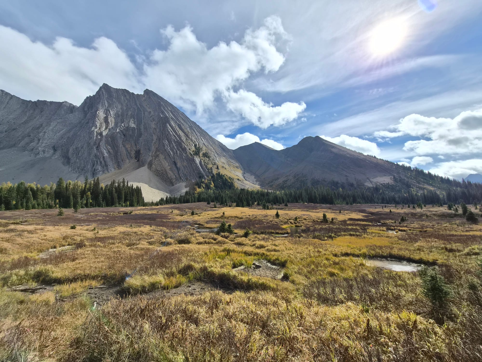 Looking for Larches at Chester Lake