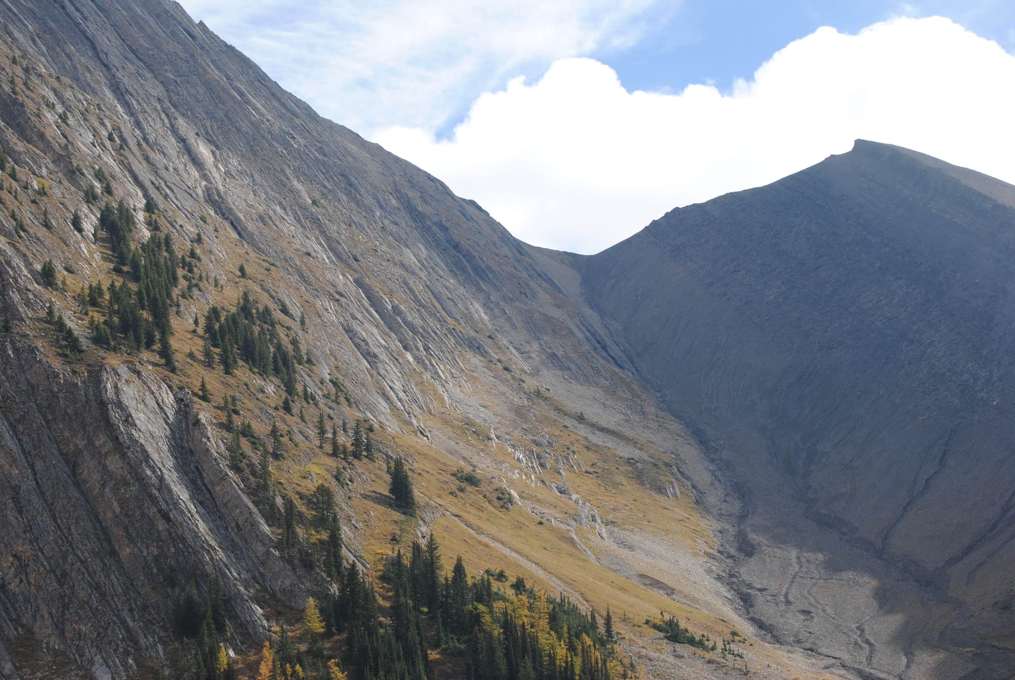 Looking for Larches at Chester Lake