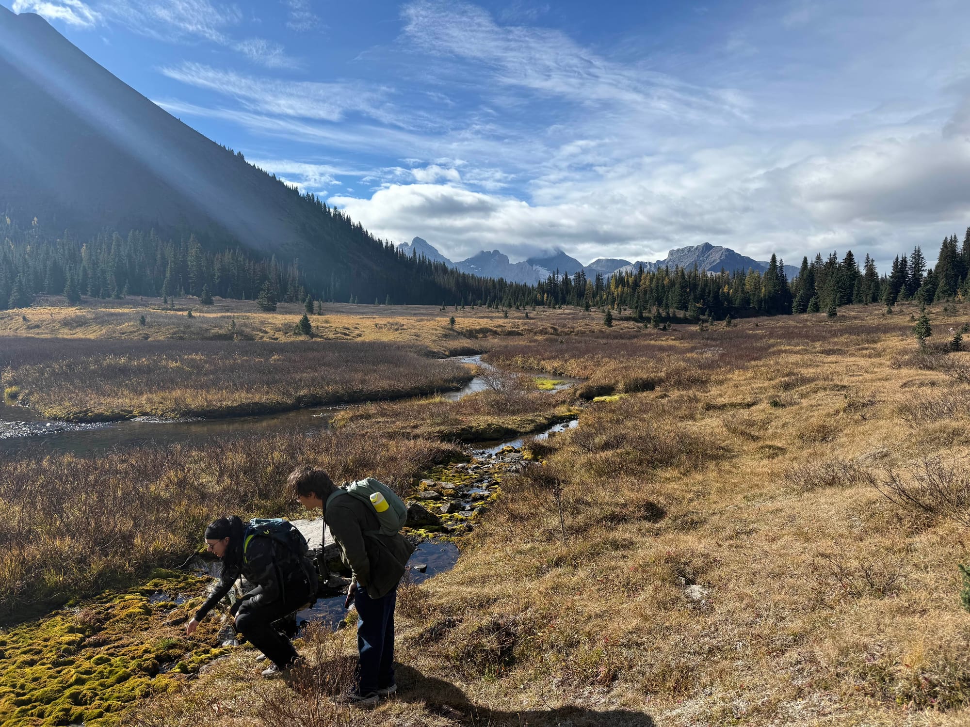 Looking for Larches at Chester Lake