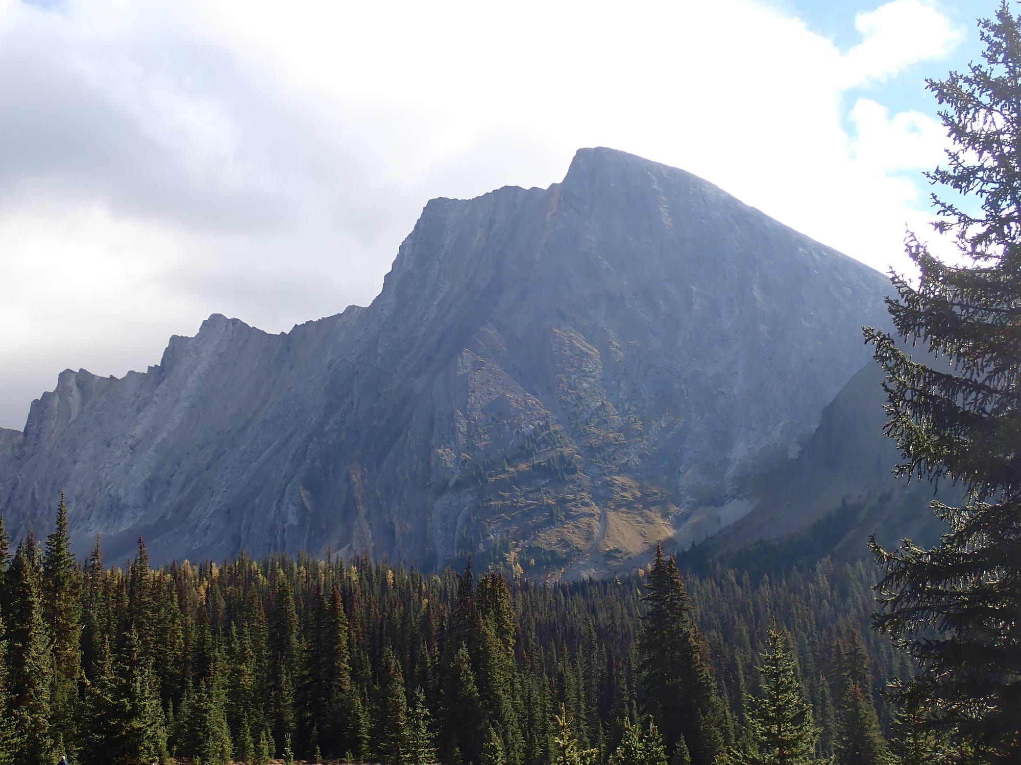 Looking for Larches at Chester Lake