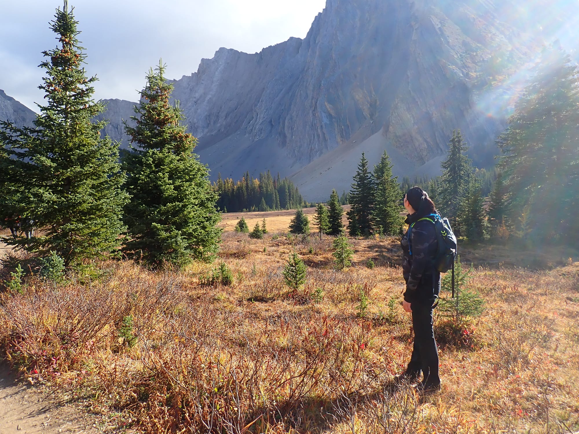 Looking for Larches at Chester Lake