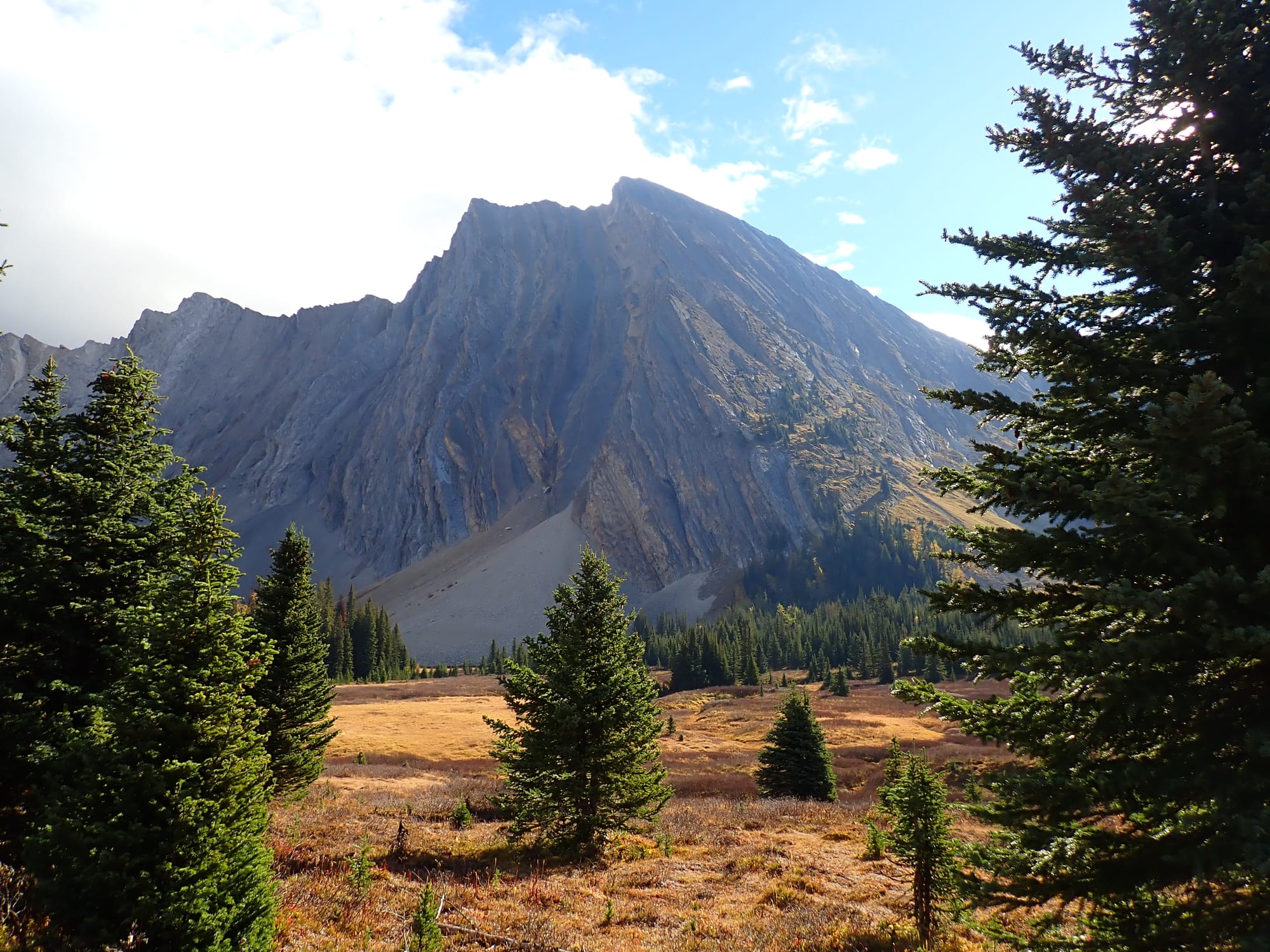 Looking for Larches at Chester Lake