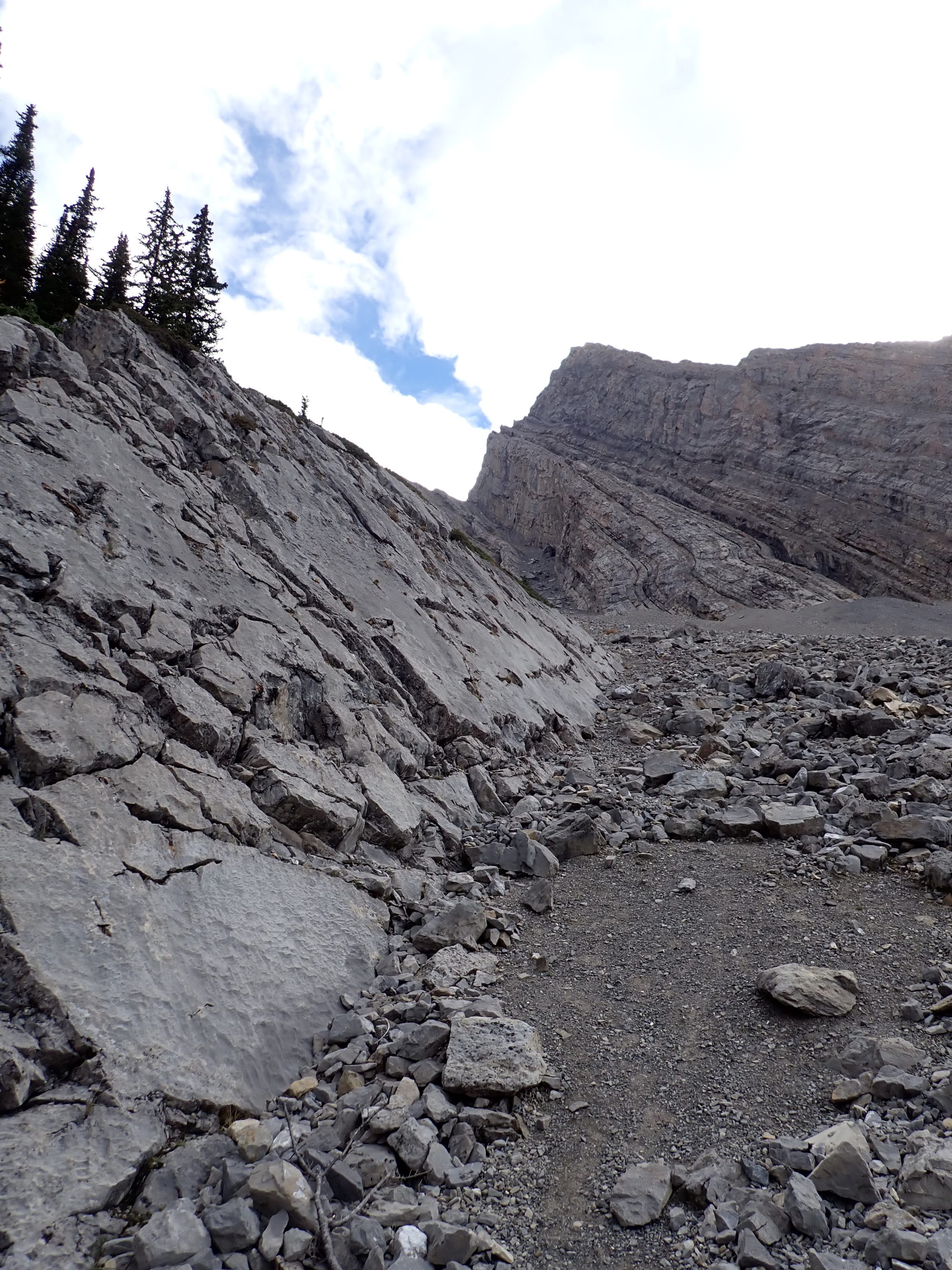 Looking for Larches at Chester Lake
