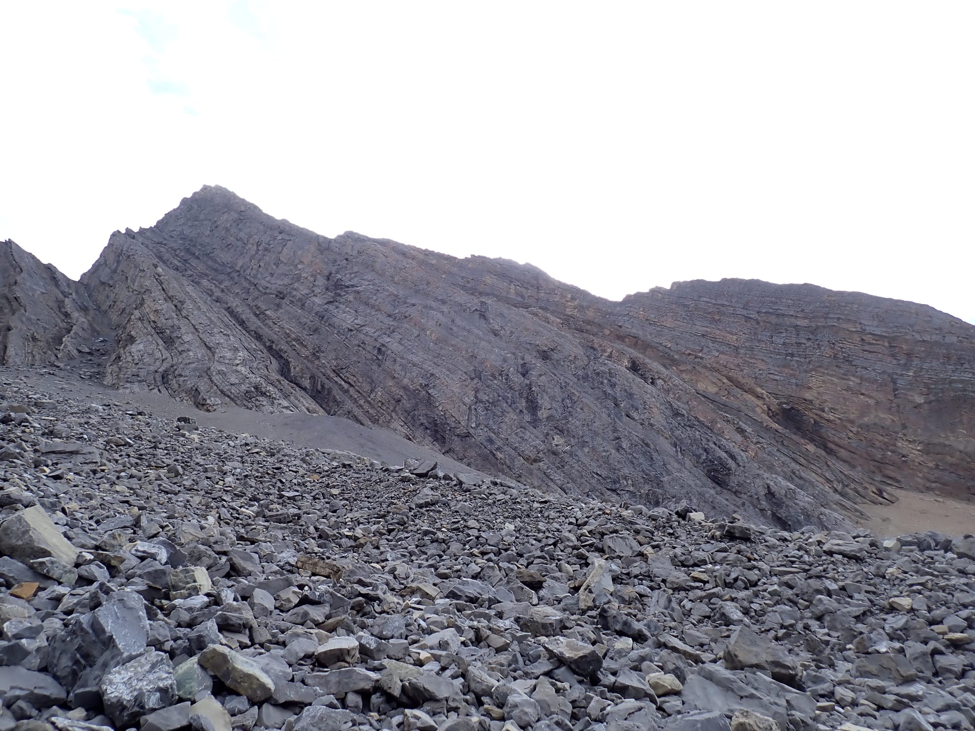 Looking for Larches at Chester Lake