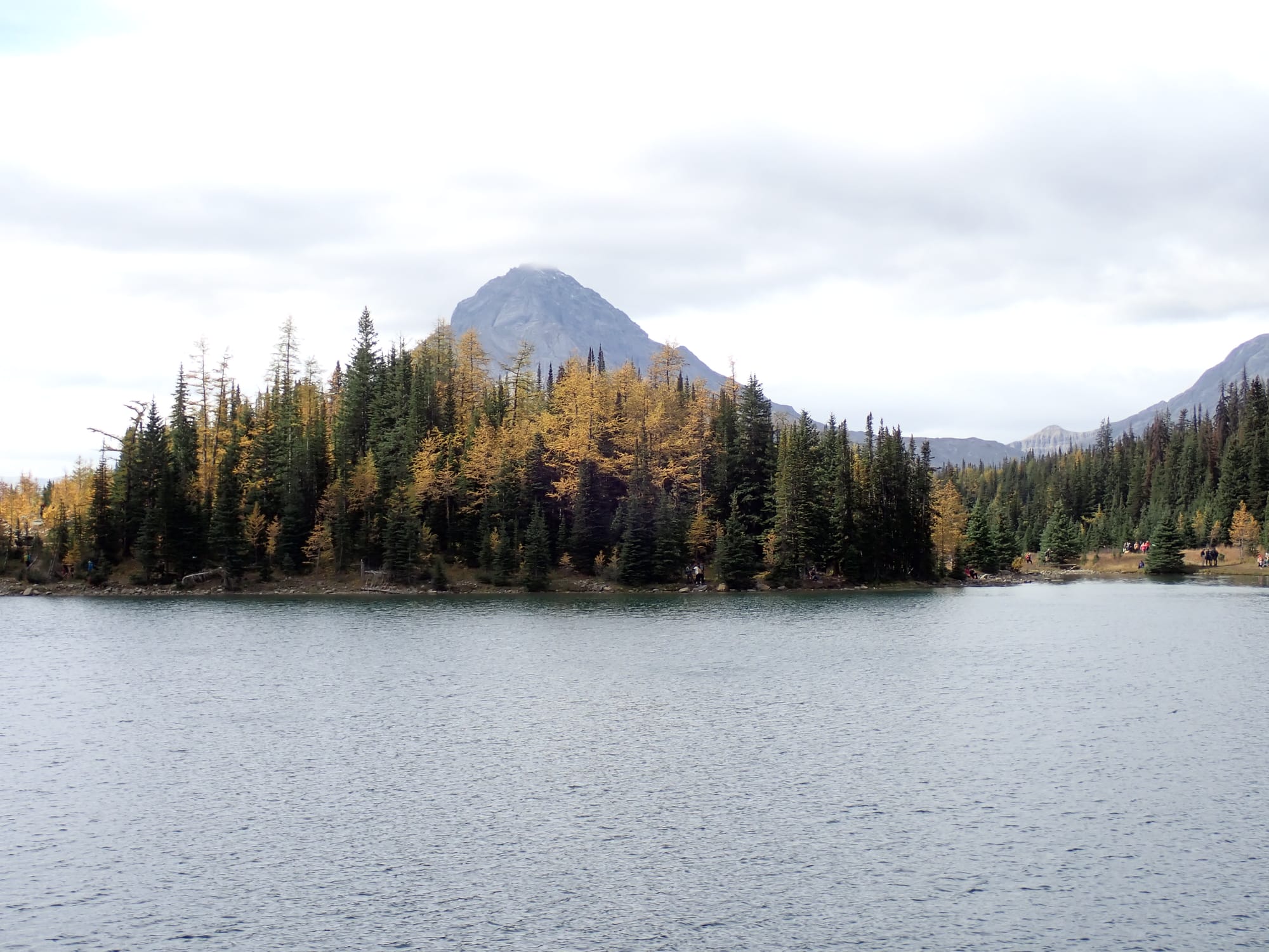 Looking for Larches at Chester Lake