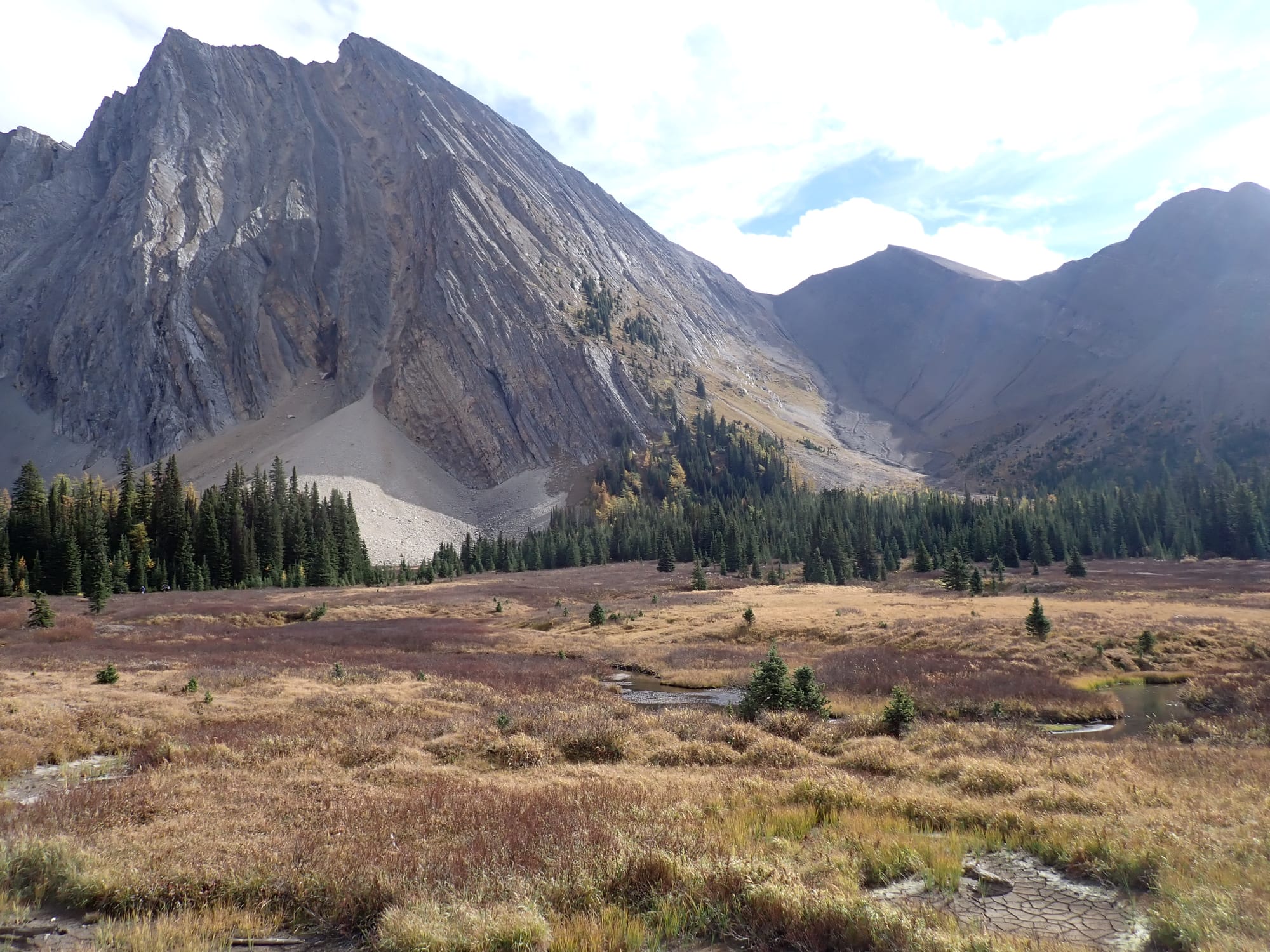 Looking for Larches at Chester Lake