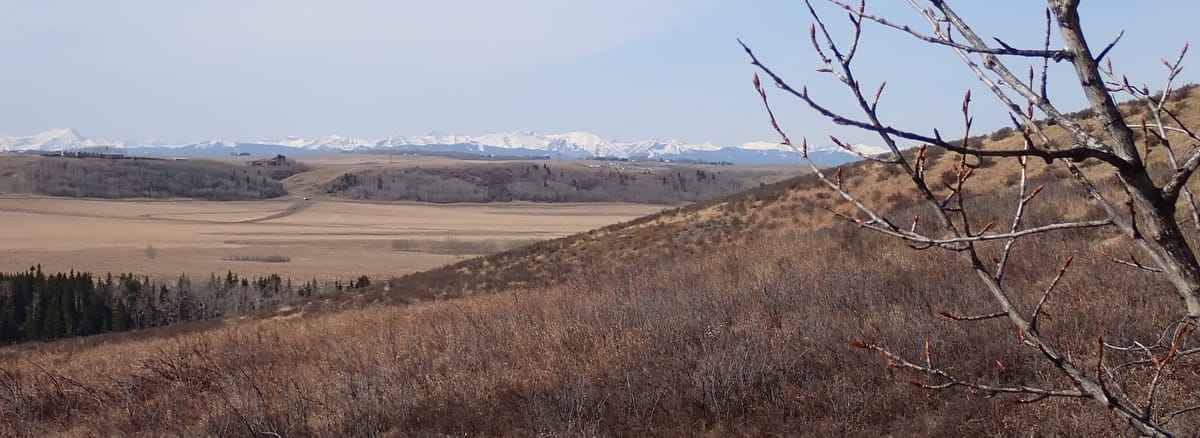 Nature Journal Entry #9: Early Spring at Glenbow Ranch Provincial Park