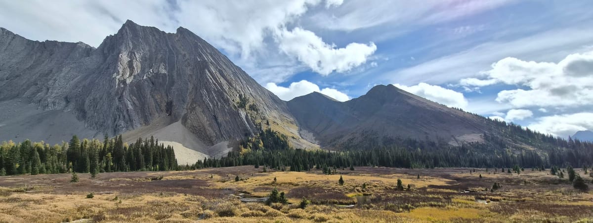 Good Morning Magpie and I
